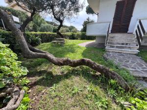 Bilocale con giardino privato
