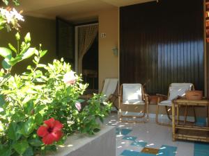 Bigflower’s House Sardinia img17
