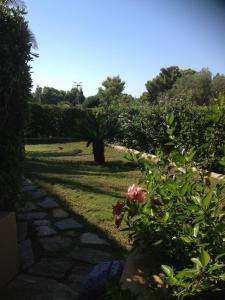 Bigflower’s House Sardinia img19