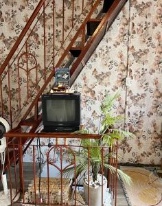 Ngủ Ngon Homestay