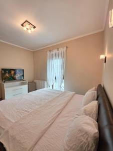 Apartamentul Numarul 7