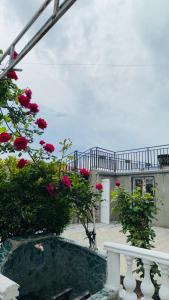 RADENO House 2