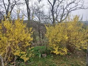 Apartamenty Polonia