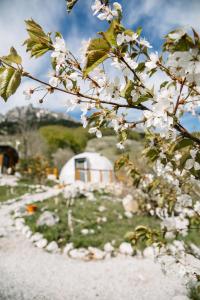 Ursa Camp Boutique Glamping