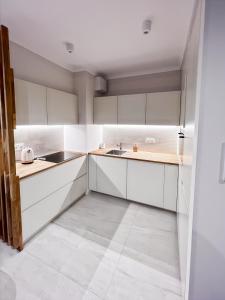 Stylish apartment in the heart of Krakow Free parking
