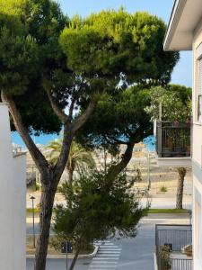 Immobiliare La Rosetana - Residenza Lincoln