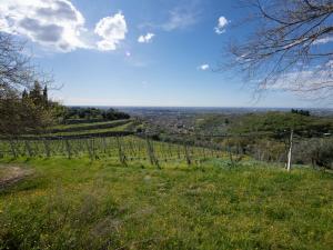 Agriturismo Poggio Toccalta
