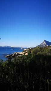 Villa Fannia img4