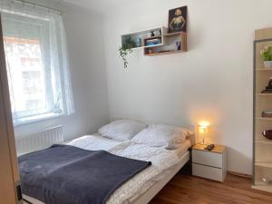 UCL Final Terrace Apartment