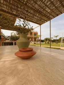 Oasis Villa, not overlooked, near Marrakech