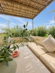 Oasis Villa, not overlooked, near Marrakech