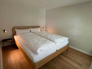 Apartment Waldhaus