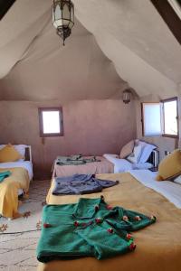 Sahara Luxe Camp