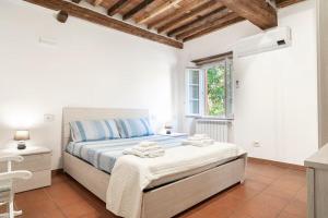 The Green House - Lucca
