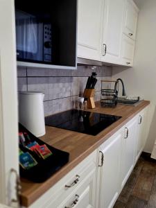 Przytulny Apartament w Sercu Poznania