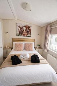 Caravan Sleeps 6 - Sea Views Parking Pets