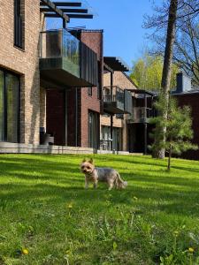 Klaipeda Seaside Apartments with self check-in