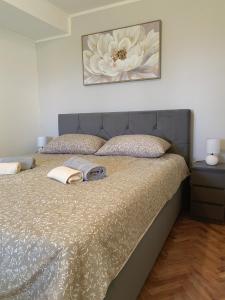 Apartman Aurora