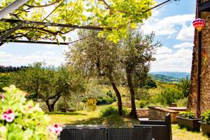 Timeless Beauty in Chianti