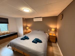 Modern Dog Friendly Veluwe Chalet with Fenced Garden & Air Conditioning - Forest and Sauna Nearby