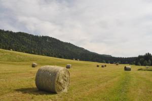 Maisons de vacances Ma cabane dans le Jura : photos des chambres