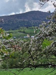 Chata pod Mogielicą - klimatyczny dom na wyłączność z ogrodem i widokiem na góry