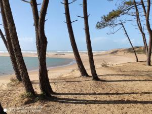 3 pièces avec grande terrasse sur le Golf de Port Bourgenay