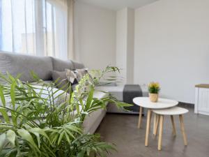 Dragos Suites 204