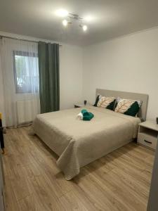 Wonderful Apartments & Rooms