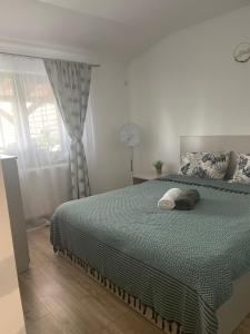 Wonderful Apartments & Rooms