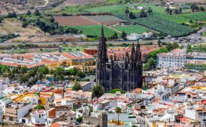 Nido De Mar