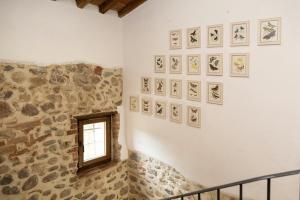 Mulino di Pari -Time Slows