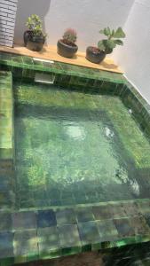 Riad M17 - Hammam & Spa