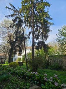 Grand Atelier Subotica