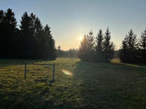 Napsugár Apartman