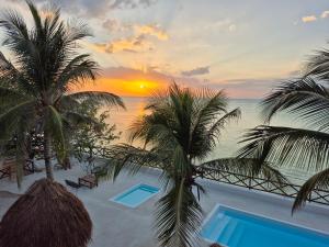 Chobys House Holbox