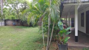 Tropical Lodge Yala
