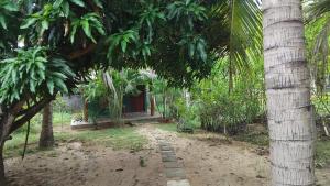 Tropical Lodge Yala