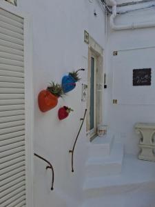 NiMa Suite