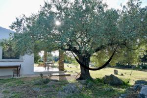 Stazzo La Chèa img12