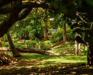 Hotel Fuerte Mayal