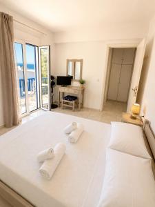 Tinos apartments Zalonis