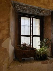 Lemon Tree Hostel