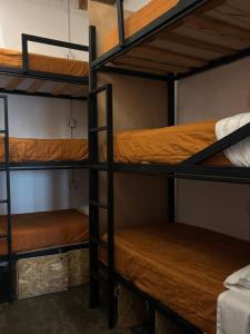 Lemon Tree Hostel
