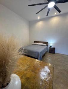 Coyote Room