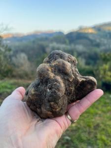 Agriturismo Il Muscatè