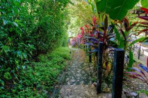 Casa Verde - Beach and Jungle Oasis