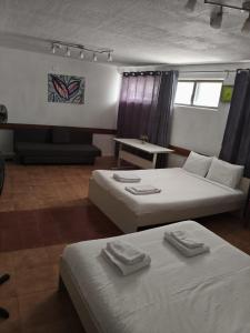 Downtown Porto Wine&Vintage Ground Spacious Home