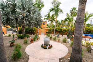 Pool house in the heart of Downtown Los Barriles