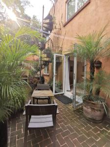 Oasis San Miguel 2